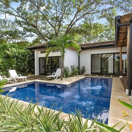 Cu28 New 3 Bdrm Home W Pool And Guanacaste Tree