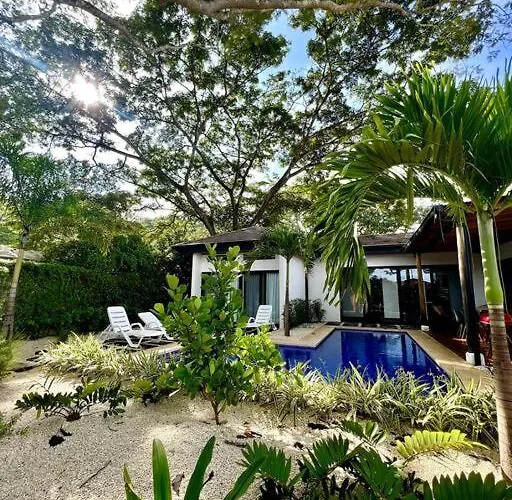 Cu28 New 3 Bdrm W Pool And Guanacaste Tree *