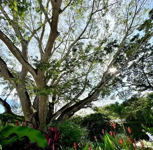 Cu28 New 3 Bdrm W Pool And Guanacaste Tree Villa *